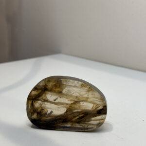 Dendritic Agate (With Flash Inclusion)
