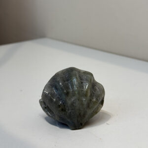 Labradorite Clam