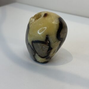 Septarian Freeform